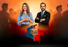 Una encuesta y a votar la consulta Una encuesta y a votar la consulta